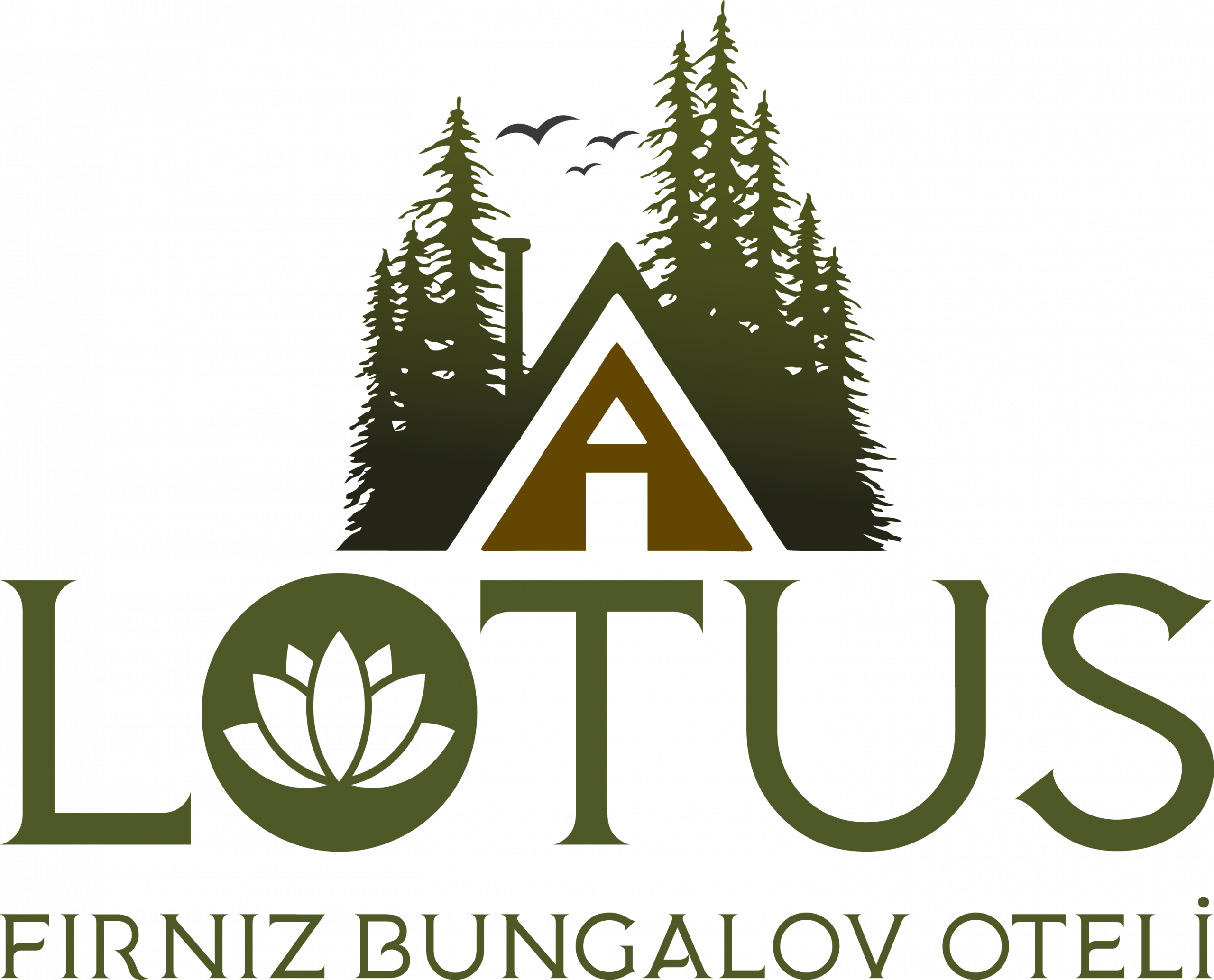 Fırnız Lotus